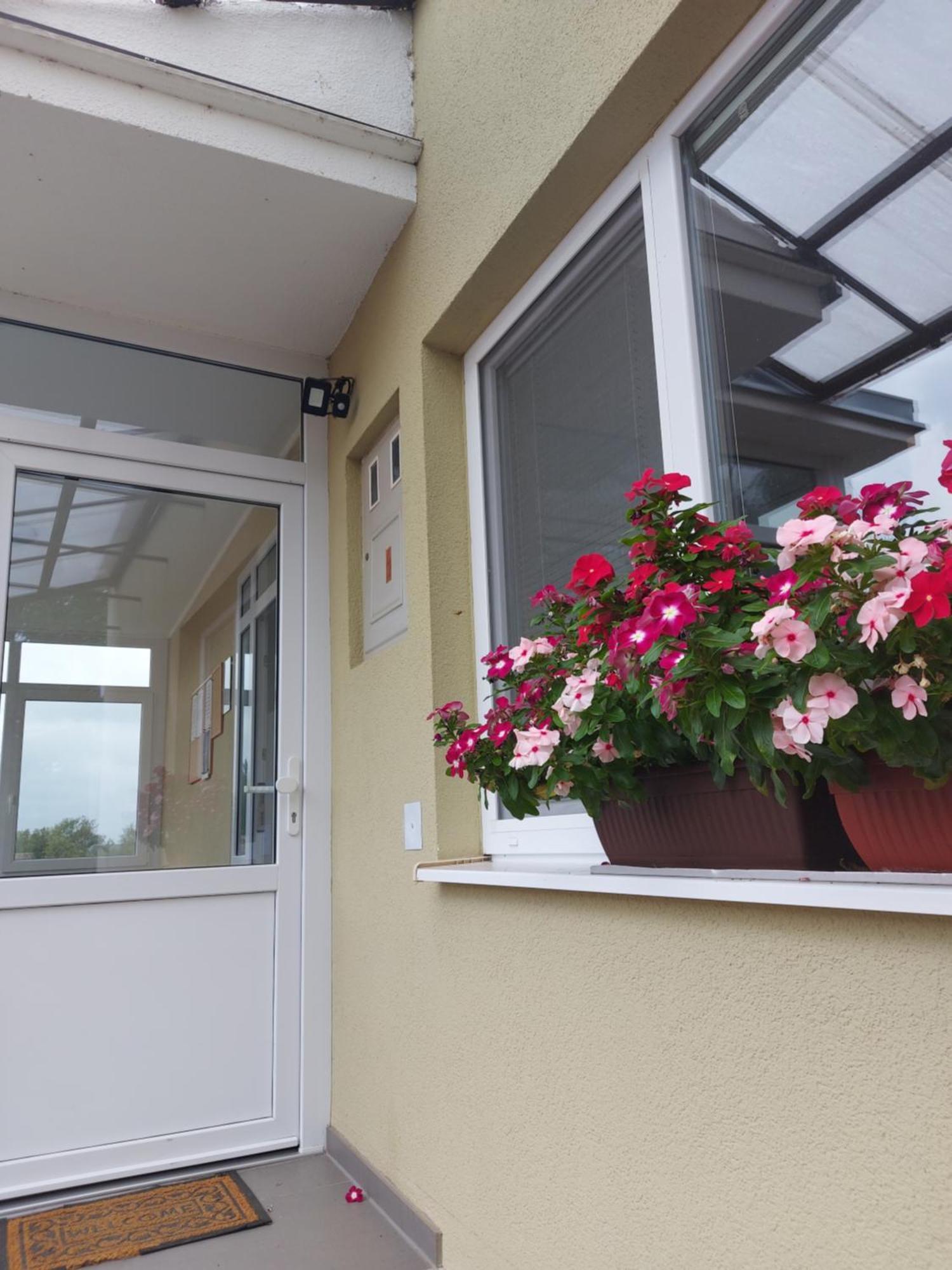 Apartman Kovac-Bilje Habitación foto