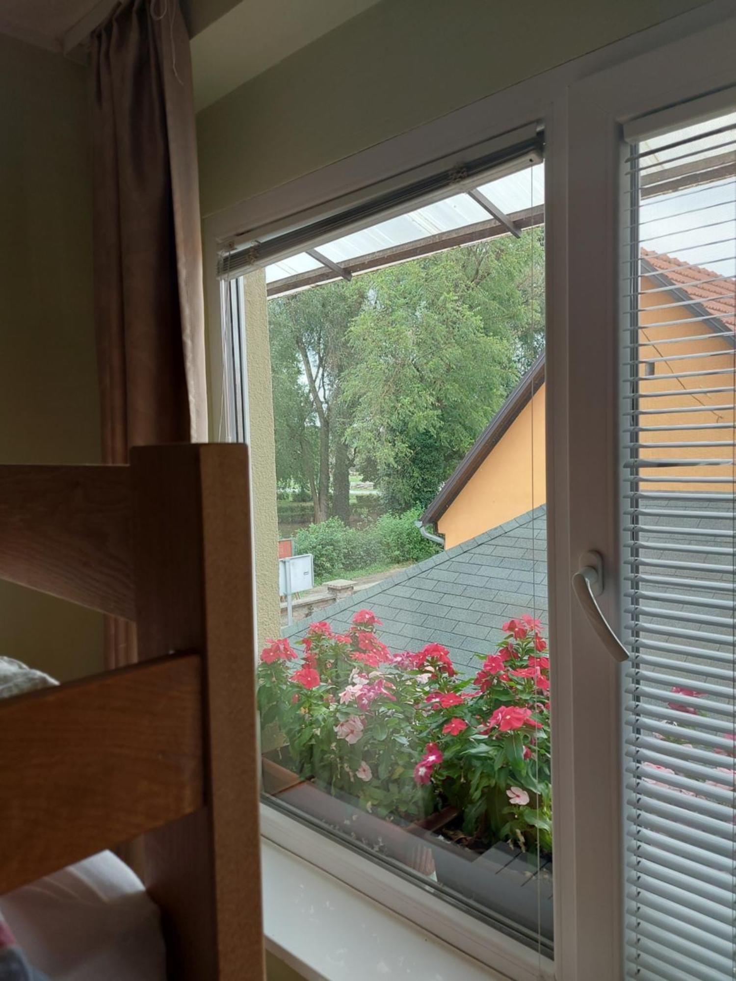 Apartman Kovac-Bilje Habitación foto